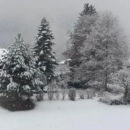 Haus Elisabeth Apartament