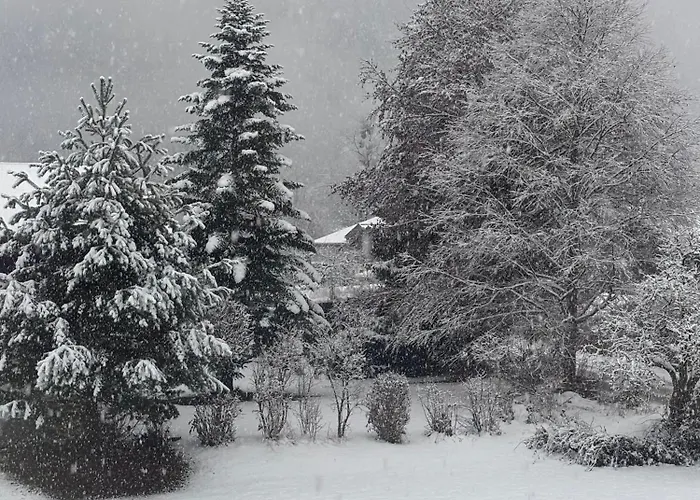 Haus Elisabeth Apartmán